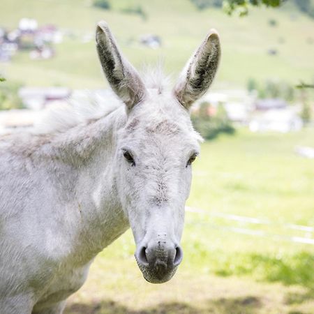 Untersillerhof Villa Neustift im Stubaital Esterno foto