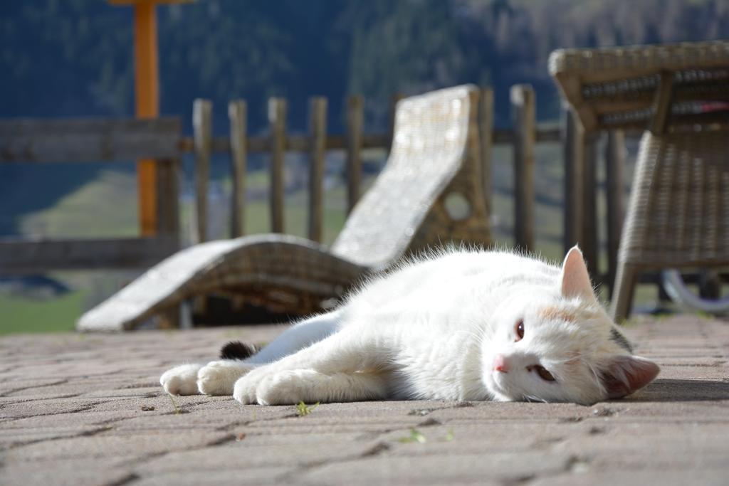 Untersillerhof Villa Neustift im Stubaital Esterno foto